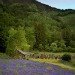 Ballachulish Church